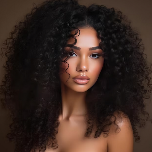 Exotic Curly Classic Clip Ins - 3b/3c 100g