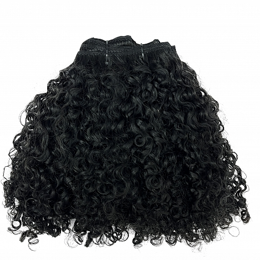 Exotic Curly Classic Clip Ins - 3b/3c 100g